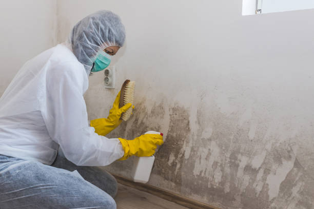 Best HVAC Mold Inspection and Cleaning  in Colusa, CA