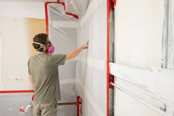 Best Mold Odor Removal Services  in Colusa, CA