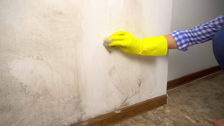 Best Water Damage & Mold Remediation  in Colusa, CA