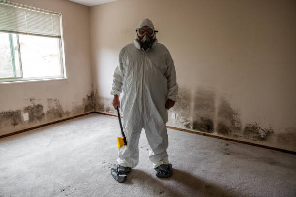 Best Commercial Mold Inspection  in Colusa, CA